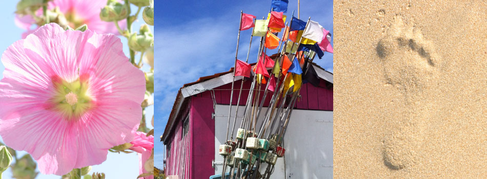 Flower, fishing flags and beach footprint