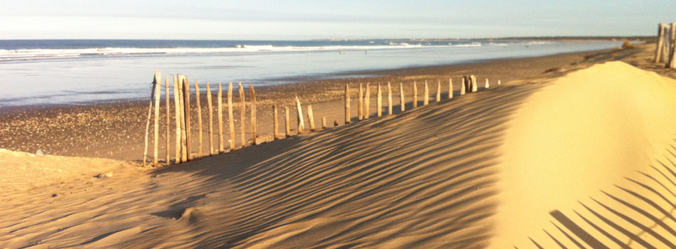 Sand dunes